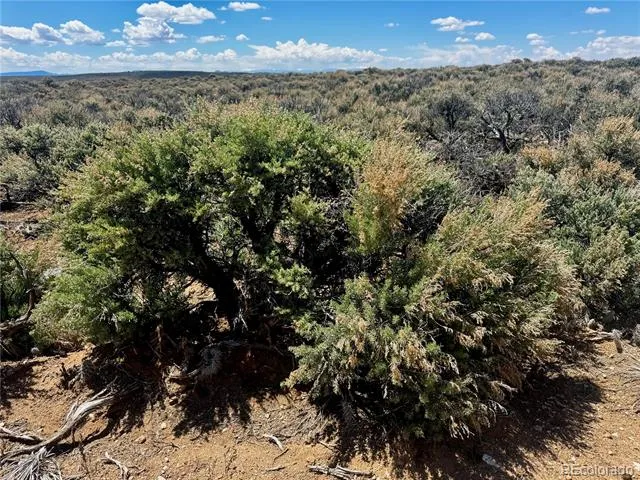 lot 3 East Jasper Drive San Luis, CO 81152