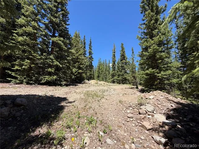 339 Silverheels Place Fairplay, CO 80440