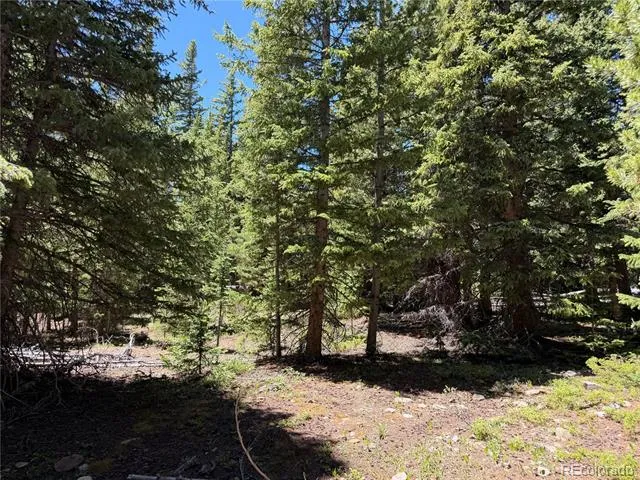 339 Silverheels Place Fairplay, CO 80440