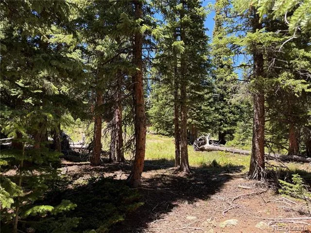 339 Silverheels Place Fairplay, CO 80440