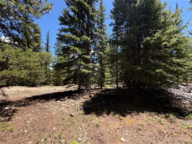 339 Silverheels Place Fairplay, CO 80440
