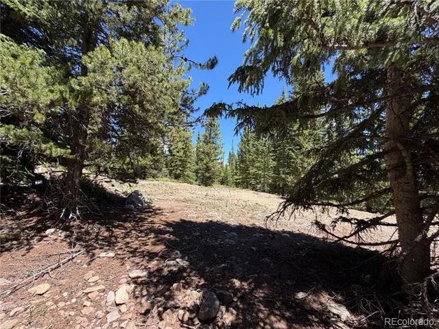 339 Silverheels Place Fairplay, CO 80440