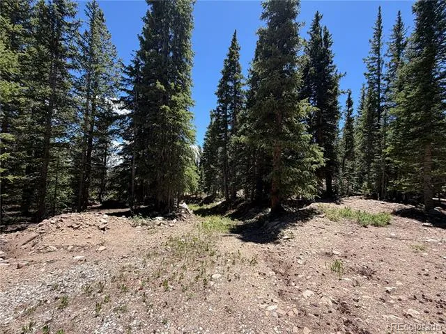 339 Silverheels Place Fairplay, CO 80440