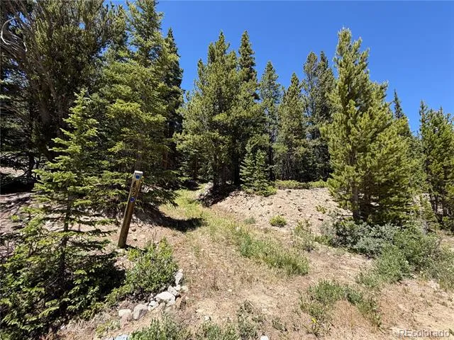 339 Silverheels Place Fairplay, CO 80440