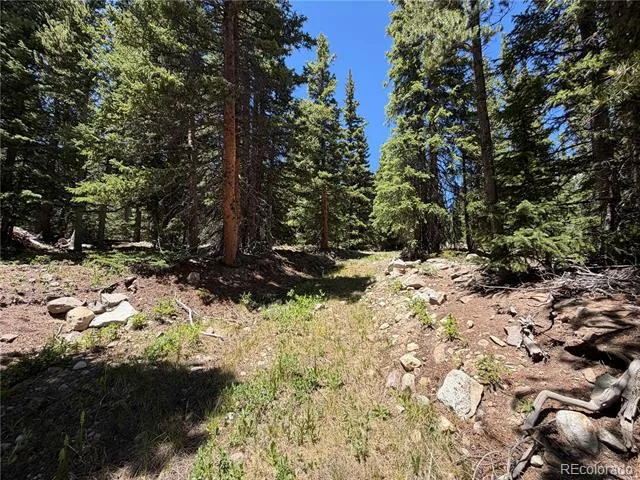339 Silverheels Place Fairplay, CO 80440