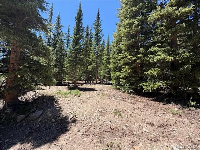 339 Silverheels Place Fairplay, CO 80440