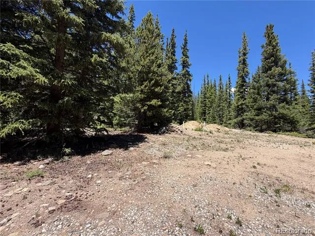 339 Silverheels Place Fairplay, CO 80440