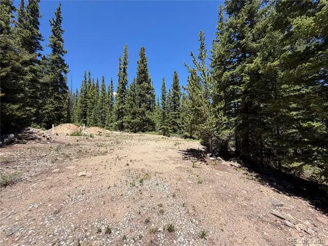 339 Silverheels Place Fairplay, CO 80440