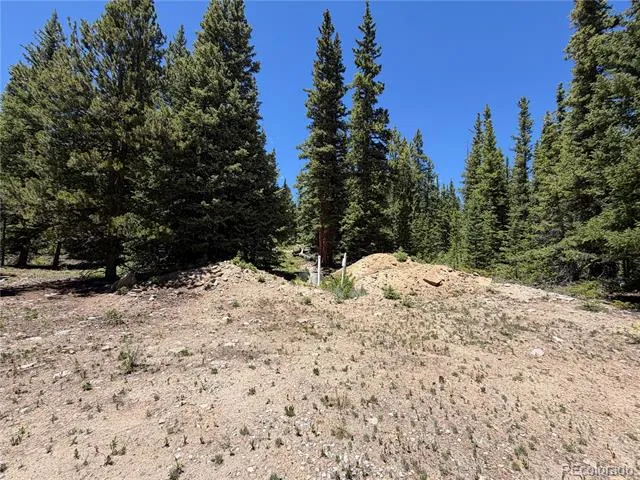 339 Silverheels Place Fairplay, CO 80440