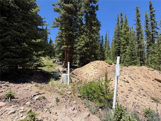 339 Silverheels Place Fairplay, CO 80440