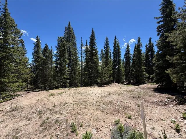 339 Silverheels Place Fairplay, CO 80440