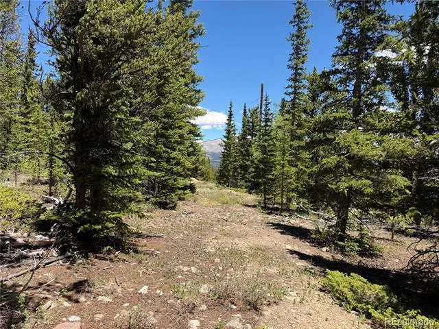 339 Silverheels Place Fairplay, CO 80440