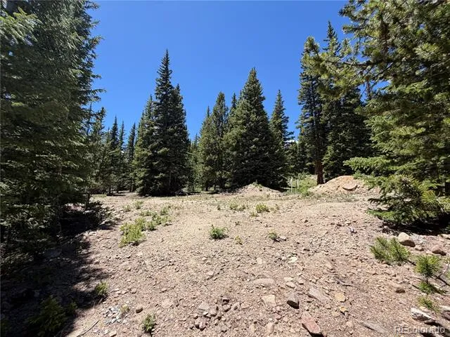 339 Silverheels Place Fairplay, CO 80440