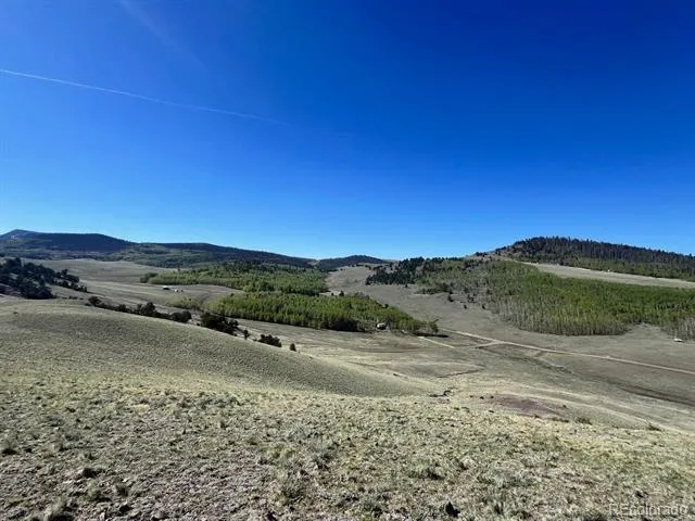 110 Watonga Road Guffey, CO 80449