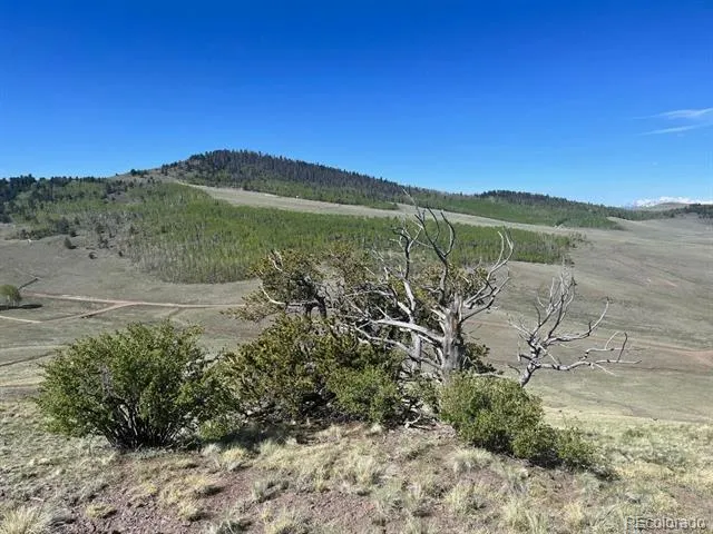 110 Watonga Road Guffey, CO 80449