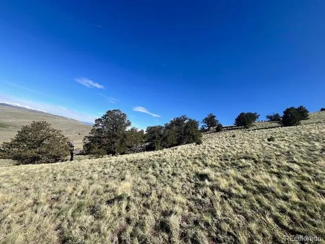 110 Watonga Road Guffey, CO 80449