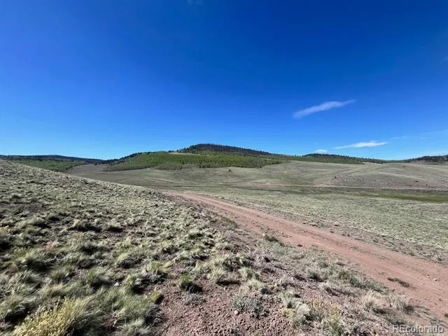 110 Watonga Road Guffey, CO 80449