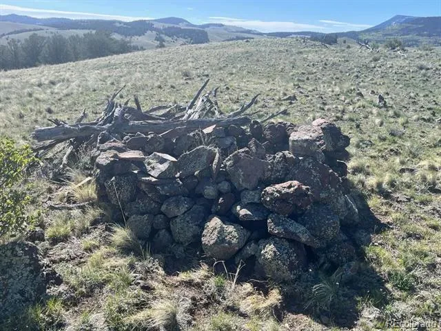 110 Watonga Road Guffey, CO 80449