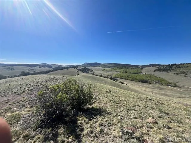 110 Watonga Road Guffey, CO 80449