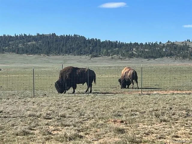 110 Watonga Road Guffey, CO 80449