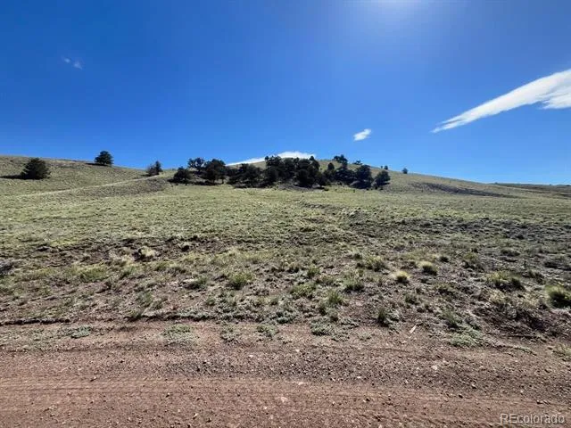 110 Watonga Road Guffey, CO 80449
