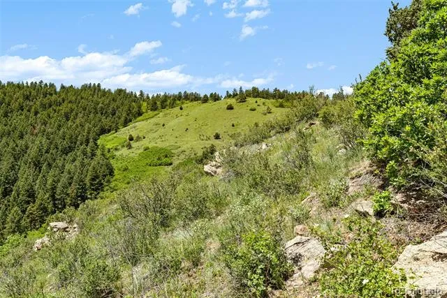 8529 S Deer Creek Canyon Road Morrison, CO 80127