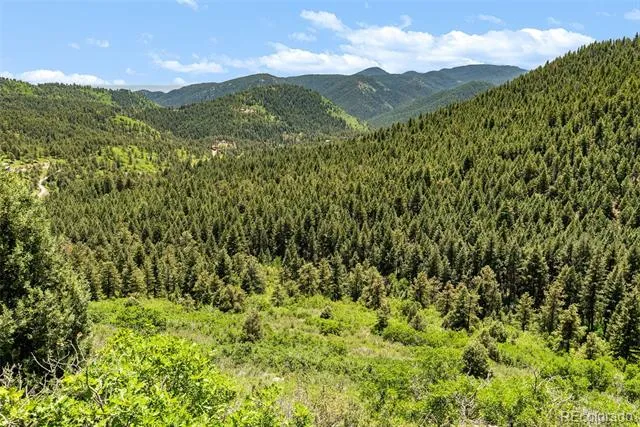 8529 S Deer Creek Canyon Road Morrison, CO 80127