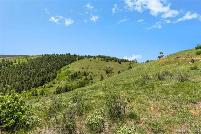 8529 S Deer Creek Canyon Road Morrison, CO 80127