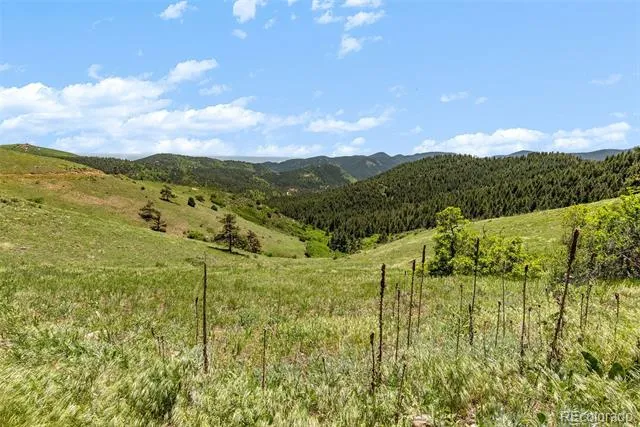 8529 S Deer Creek Canyon Road Morrison, CO 80127