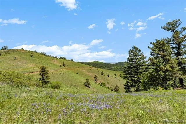 8529 S Deer Creek Canyon Road Morrison, CO 80127