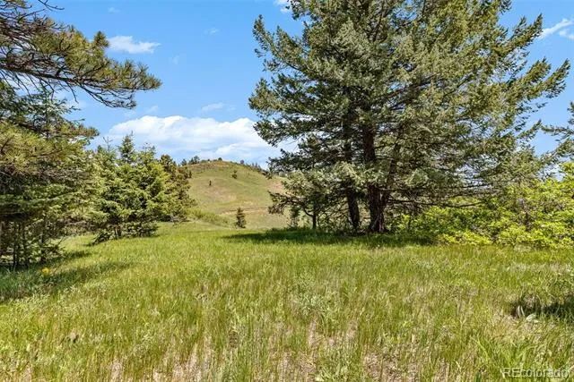 8529 S Deer Creek Canyon Road Morrison, CO 80127