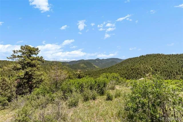 8529 S Deer Creek Canyon Road Morrison, CO 80127