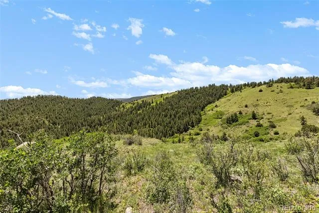 8529 S Deer Creek Canyon Road Morrison, CO 80127