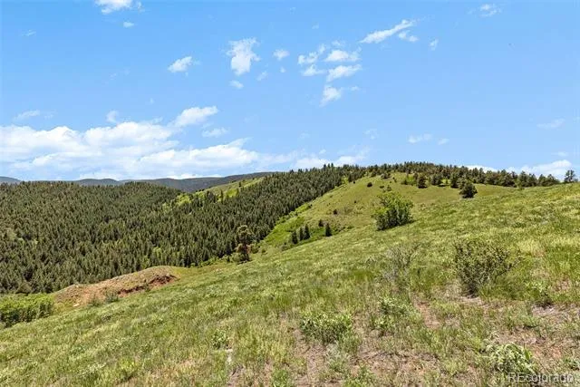 8529 S Deer Creek Canyon Road Morrison, CO 80127
