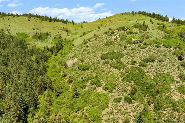 8529 S Deer Creek Canyon Road Morrison, CO 80127