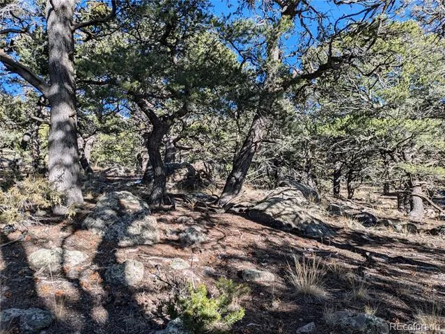 1284 Echo Point Crestone, CO 81131