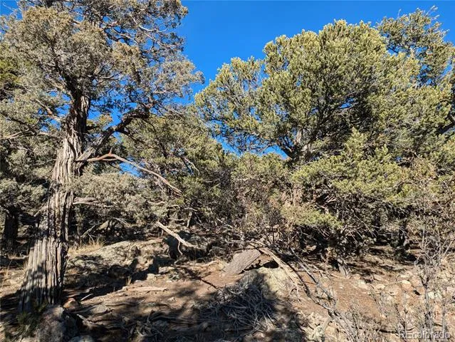 1284 Echo Point Crestone, CO 81131