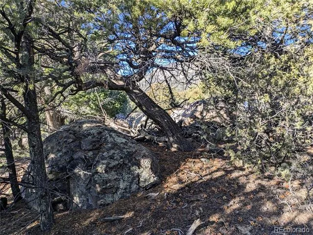 1284 Echo Point Crestone, CO 81131