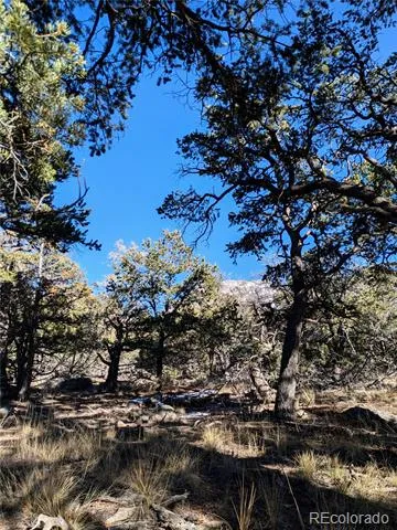 1284 Echo Point Crestone, CO 81131