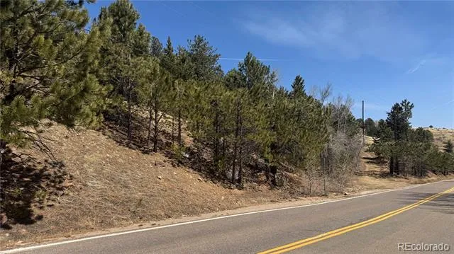 591 Eureka Street Central City, CO 80427