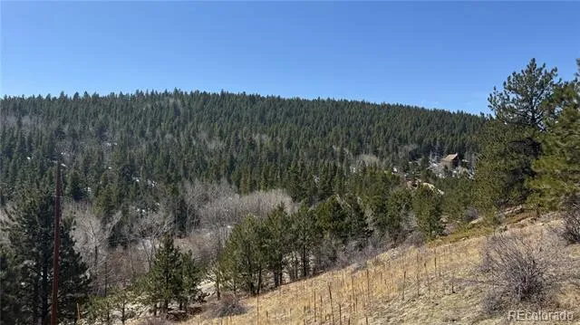 591 Eureka Street Central City, CO 80427