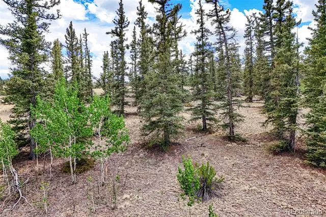 1111 Latigo Loop Hartsel, CO 80820