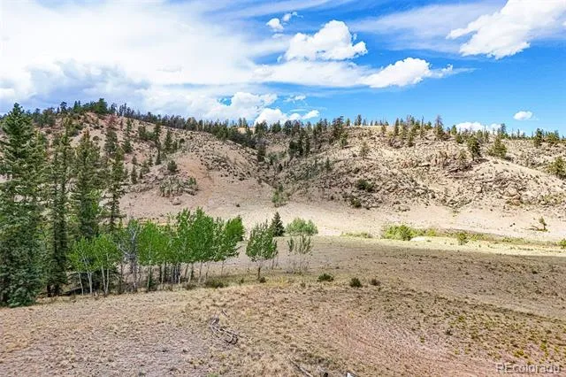 1111 Latigo Loop Hartsel, CO 80820