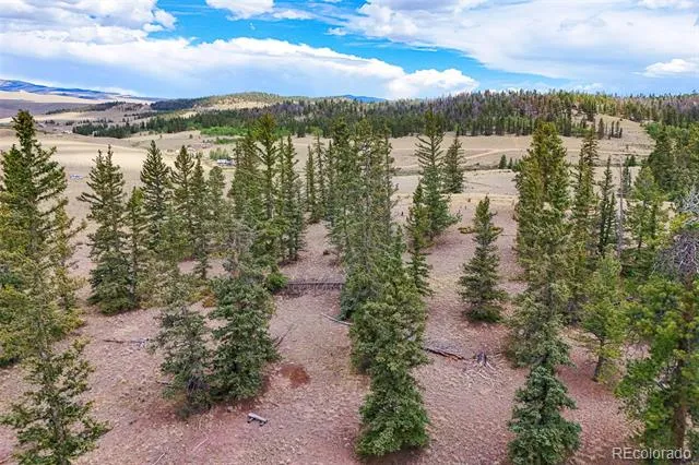 1111 Latigo Loop Hartsel, CO 80820