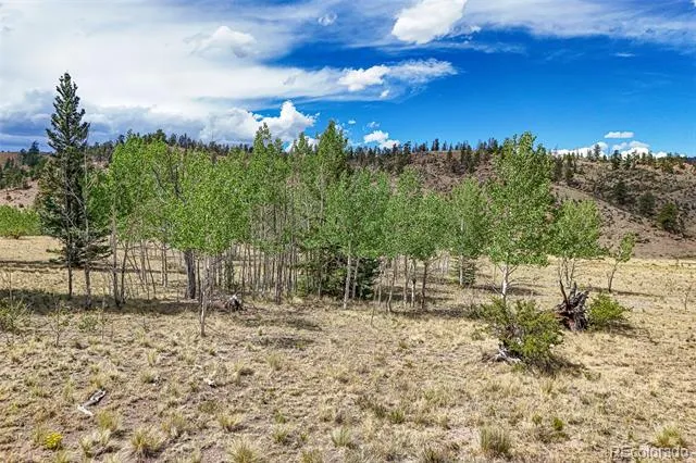 1111 Latigo Loop Hartsel, CO 80820