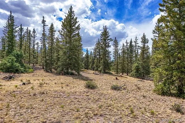 1111 Latigo Loop Hartsel, CO 80820
