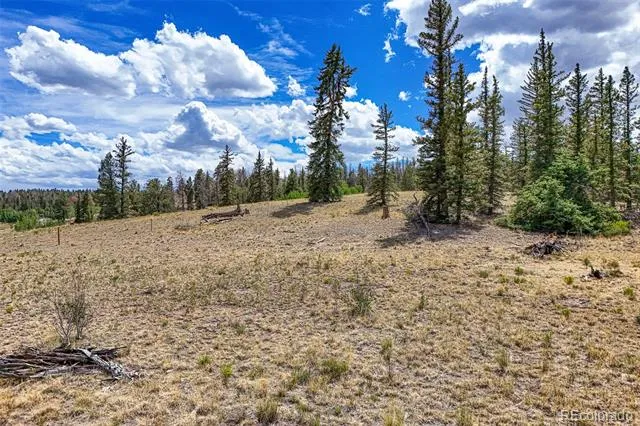 1111 Latigo Loop Hartsel, CO 80820
