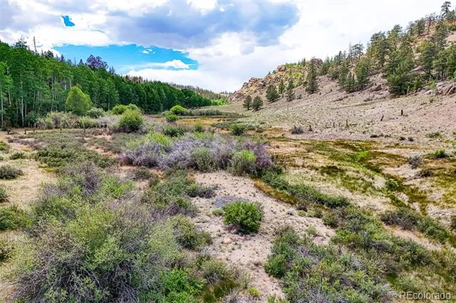 1111 Latigo Loop Hartsel, CO 80820