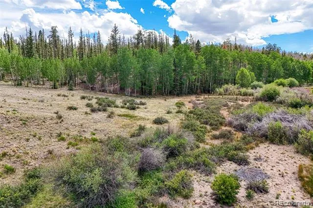 1111 Latigo Loop Hartsel, CO 80820