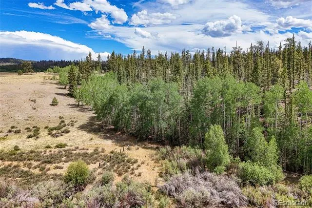 1111 Latigo Loop Hartsel, CO 80820